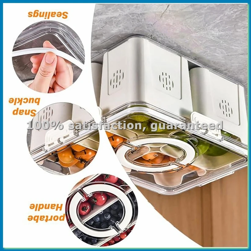 Vassoio per Frutta per Picnic, - Food Snacks Box recensione e prezzo