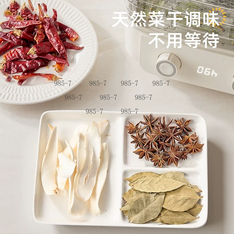 Essiccatore alimentare a 5 liv - Homemade Food Snacks recensione e prezzo